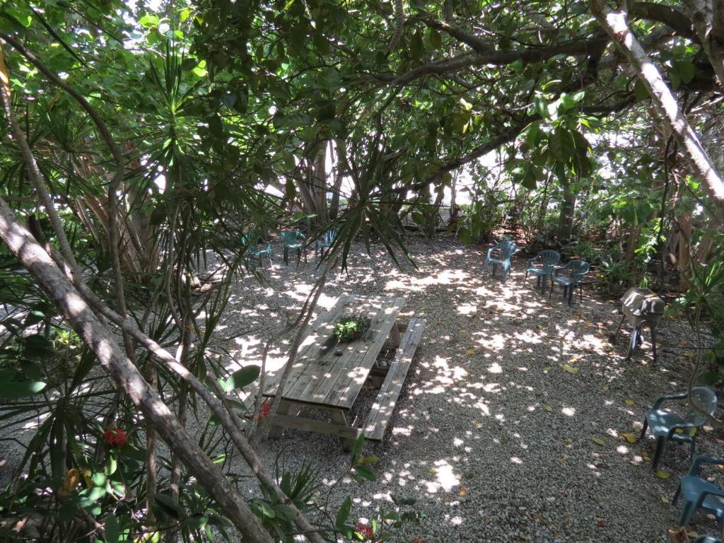 Ed & Ellen'S Lodgings Key Largo Motel Pokój zdjęcie